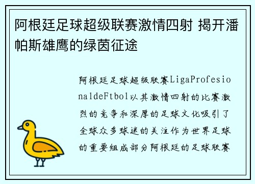 阿根廷足球超级联赛激情四射 揭开潘帕斯雄鹰的绿茵征途